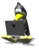 penguin_typing[1].gif